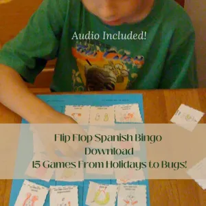 Flip Flop Spanish Bingo: Master Edition - 19 GAME SET (ebook   bonus audio)
