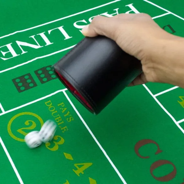 Professional Dice Cip With Five dice
