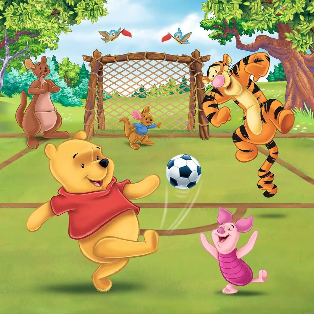 Sports Day 3x49pc