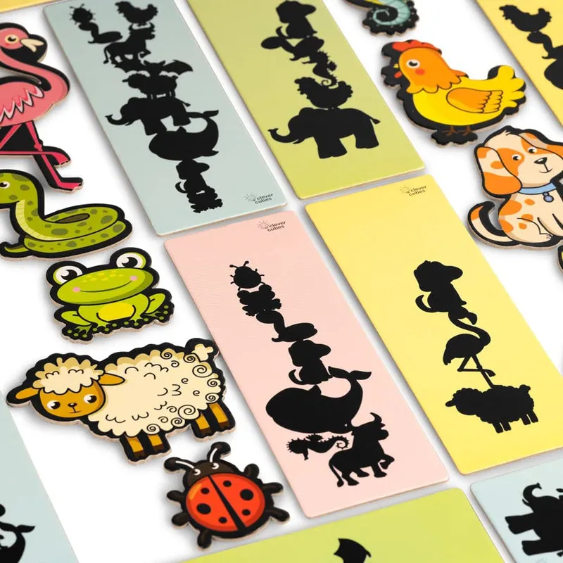 Steady Shadows - Educational Games