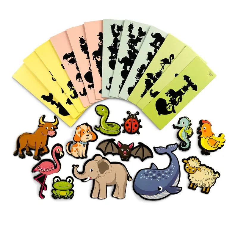 Steady Shadows - Educational Games